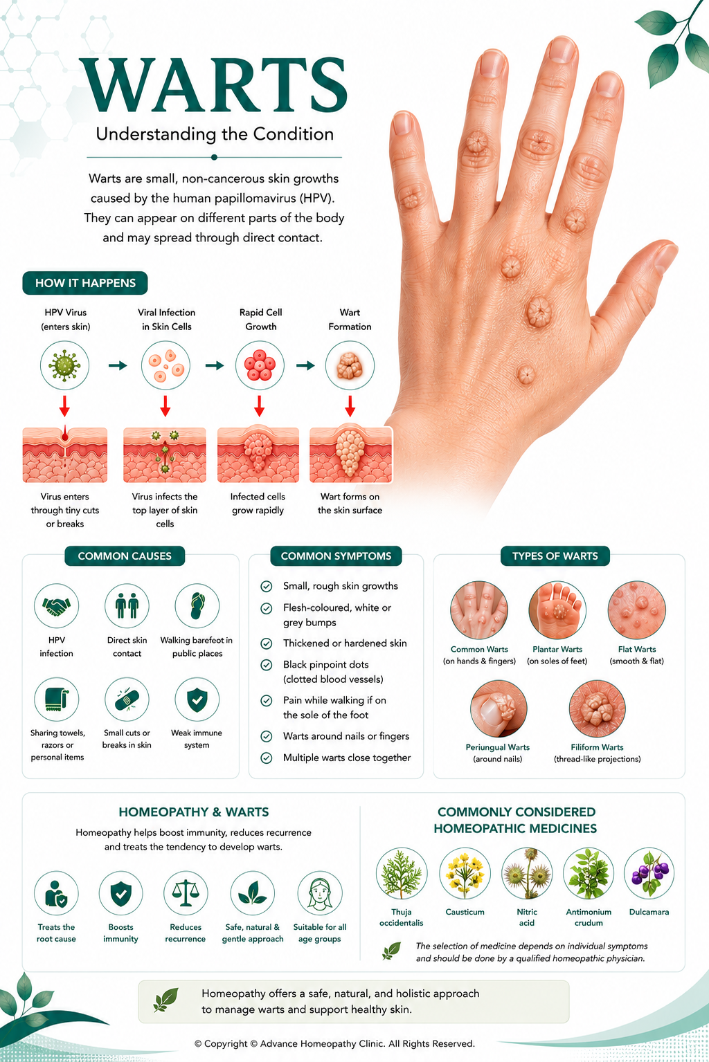 AI in Homeopathic Practice